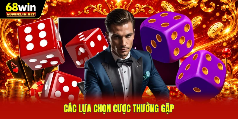 Các lựa chọn cược thường gặp