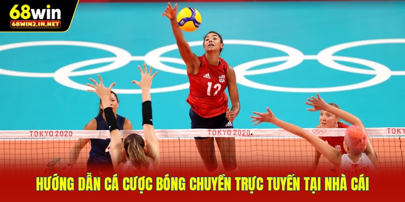 Hướng dẫn cá cược bóng chuyền trực tuyến tại nhà cái