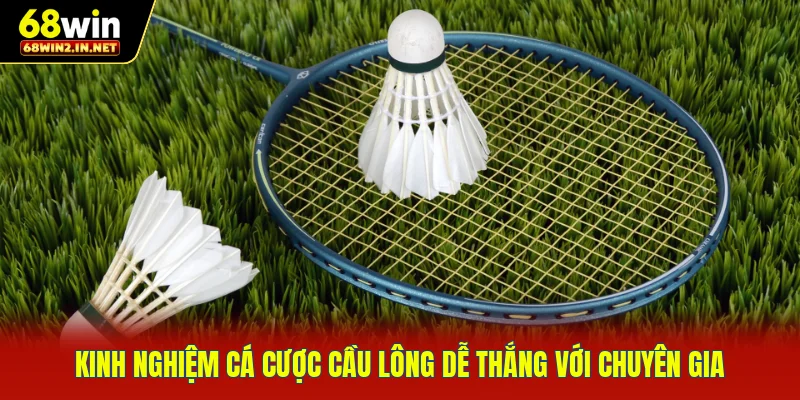 Kinh nghiệm cá cược cầu lông dễ thắng với chuyên gia