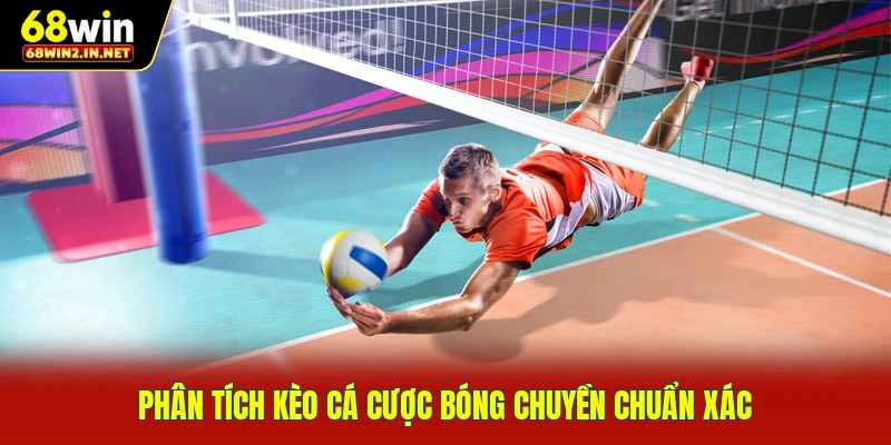 Phân tích kèo cá cược bóng chuyền chuẩn xác