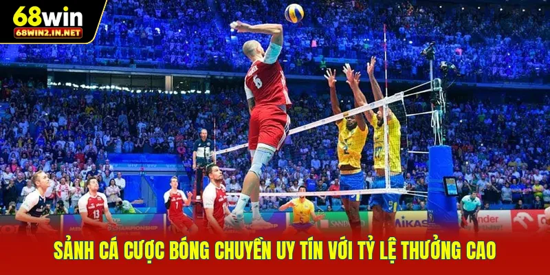 Sảnh cá cược bóng chuyền uy tín với tỷ lệ thưởng cao